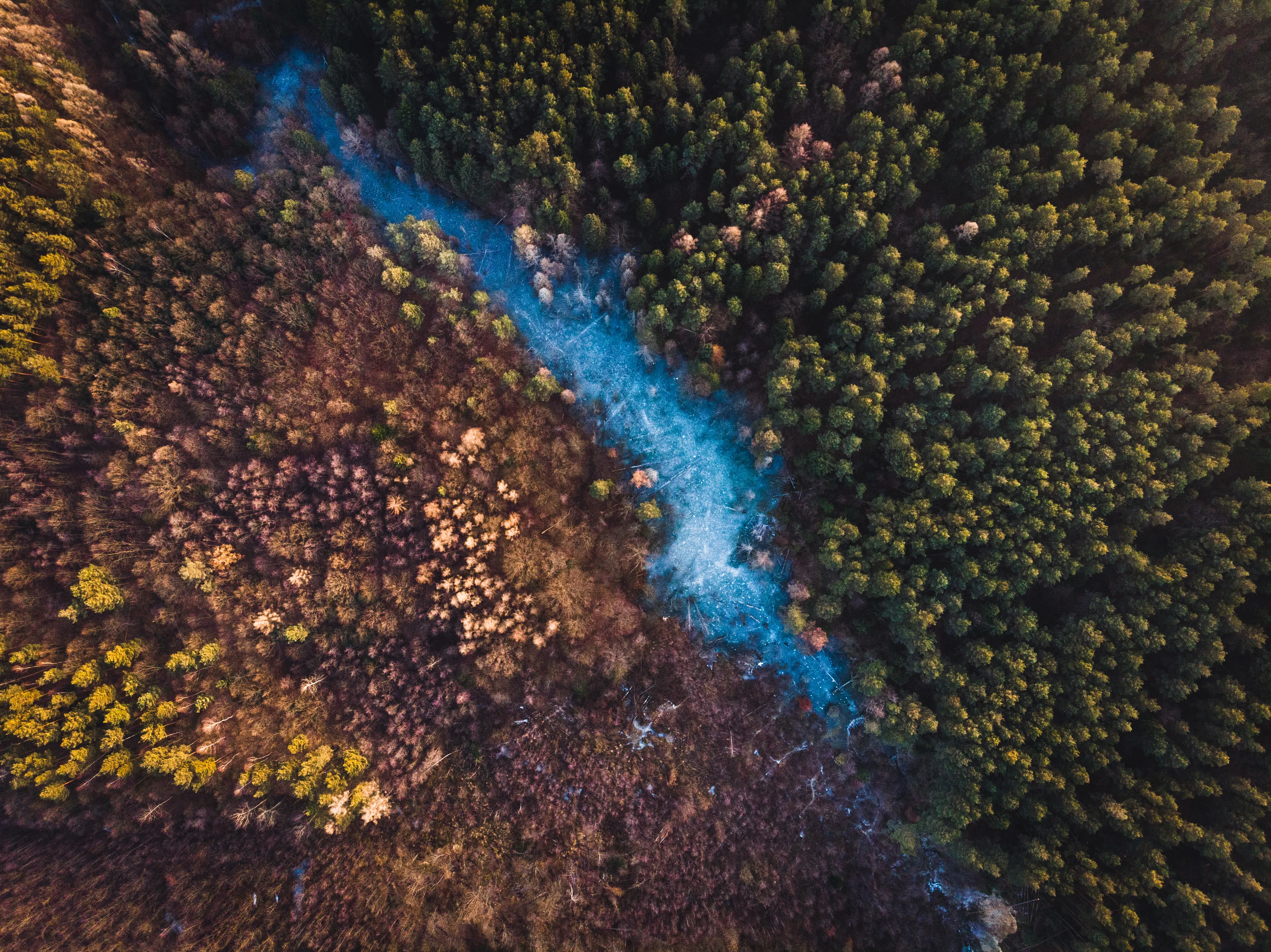 Blue Eye